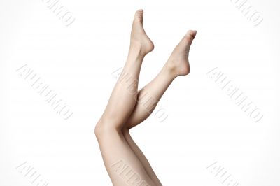 Close up of elegant female legs