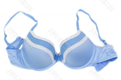 Blue bra isolated on white