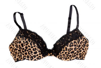 leopard print bra