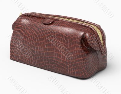 Leather clutch isolated