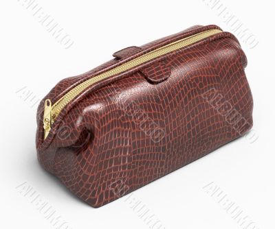 Leather clutch isolated