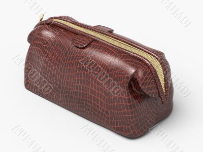 Leather clutch isolated