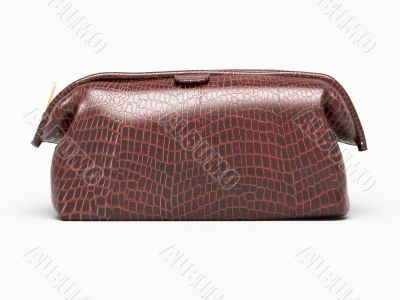 Leather clutch isolated