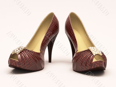 Crocodile leather women`s shoes with high heels