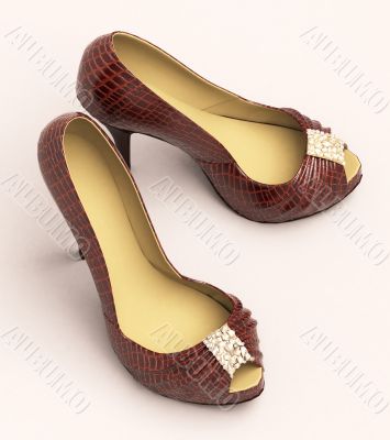 Crocodile leather women`s shoes with high heels