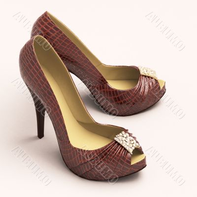 Crocodile leather women`s shoes with high heels