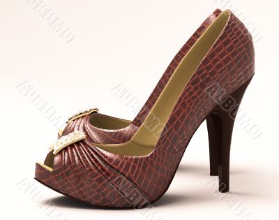 Crocodile leather women`s shoes with high heels