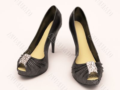 Women`s black sexy  shoes