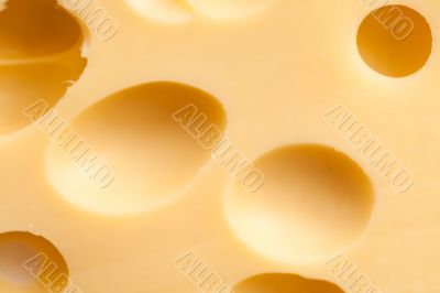 Maasdam cheese Maasdam cheese