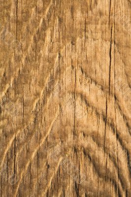 Texture of wood