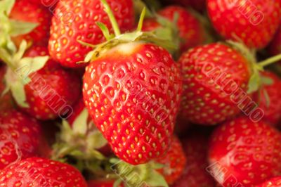 Strawberries closeup Strawberries closeup