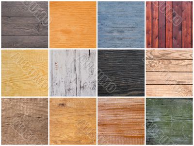 Set of textures of wood