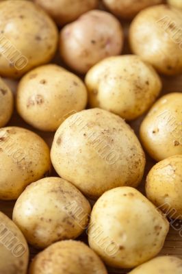 Fresh potatoes