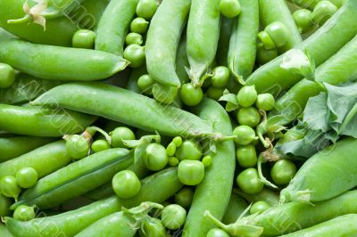 Green peas Green peas