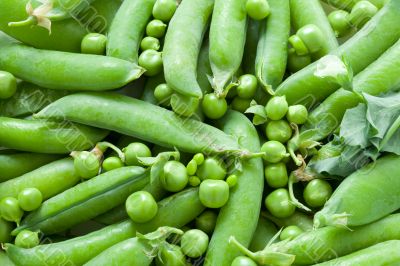 Green peas