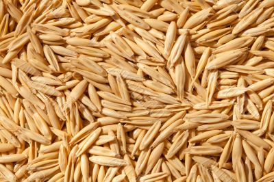 Unshelled oats