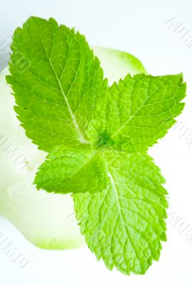 Fresh mint leaves Fresh mint leaves