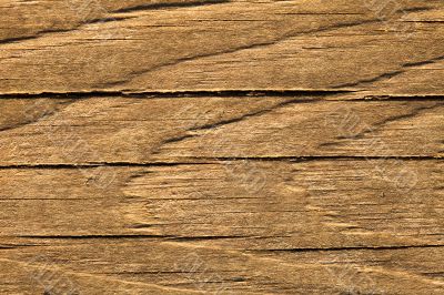 Texture of wood Texture of wood