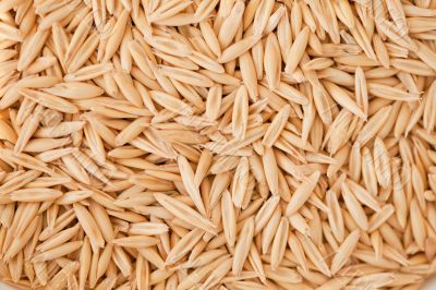 Whole grain oats