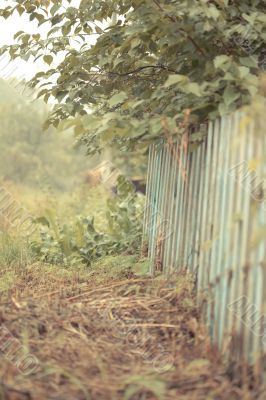 Old rickety fence