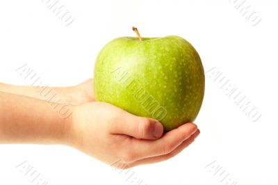 Apple in the hands Apple in the hands