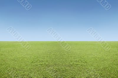 Grass and sky