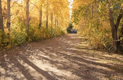 Autumn landscape Autumn landscape