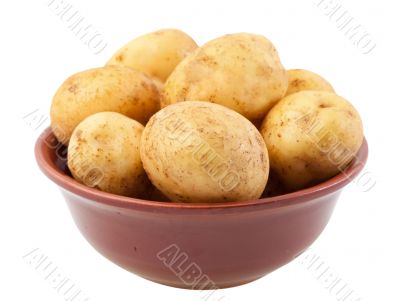 Young potatoes in a clay bowl