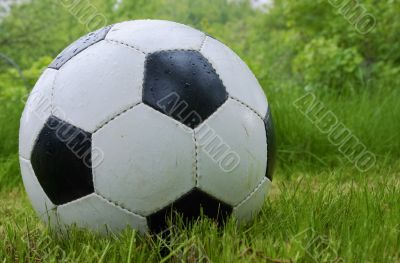 Soccer ball