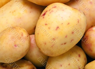 Potatoes close-up