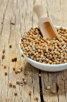 Coriander seeds in small ceramic pot