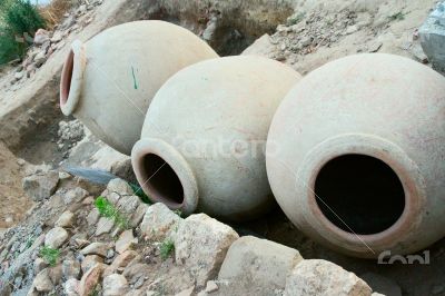 The ancient amphorae, which archaeologists have found.