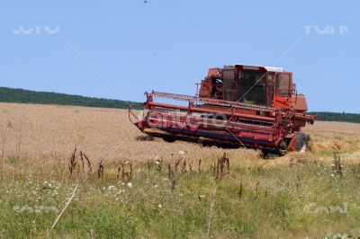 Combine harvester working in a field