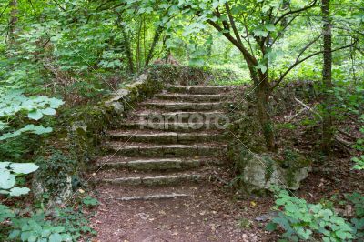 The old staircase overgrown with grass