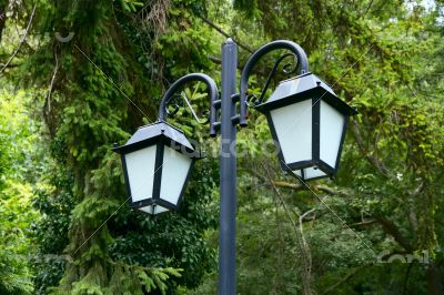 Lantern of the two lights in the trees.