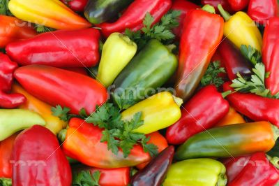 Red, yellow , green pepper and parsley leaves.