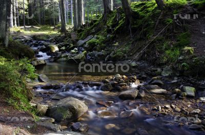 Flowing water of Carpathian mountain stream 