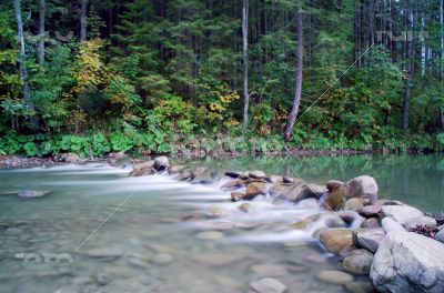 Flowing water of Carpathian mountain stream 