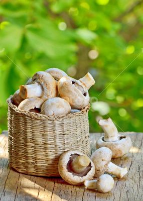 mushrooms in straw basket