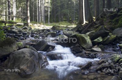 Cascade falls over mossy rocks 