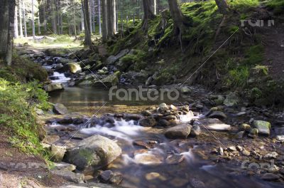 Cascade falls over mossy rocks 