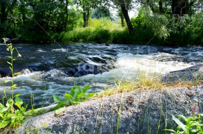 Flowing water of Carpathian mountain stream 