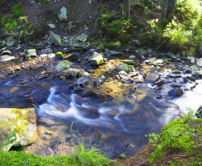 Flowing water of Carpathian mountain stream