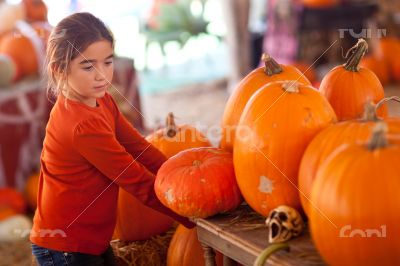 Cute Girl Choosing A Pumpkin