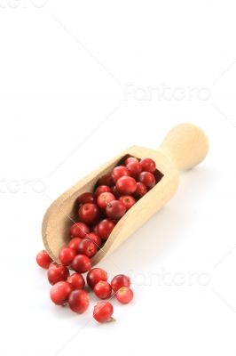 cranberry