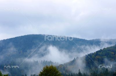 Foggy summer morning in the mountains. Carpathian, Ukraine, 