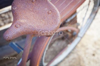 Abstract of Old Rusty Antique Bicycle Seat
Abstract of Old Rusty Antique Bicycle Seat