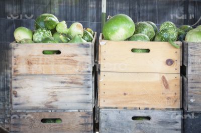 Fresh Fall Gourds and Crates in Rustic Fall Setting