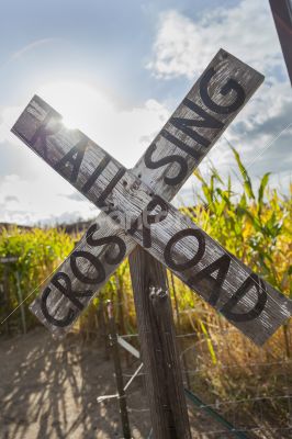 Antique Country Rail Road Crossing Sign Near a Corn Field
