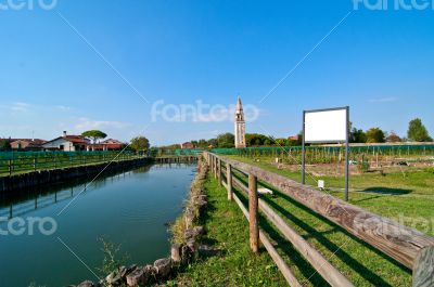 Venice Burano Mazorbo vineyard